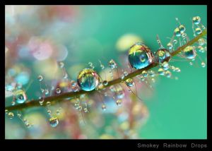 c3-Smokey Rainbow Drops.jpg